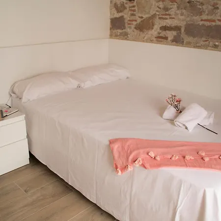 Barcelona Classic Palau Apartments-2
